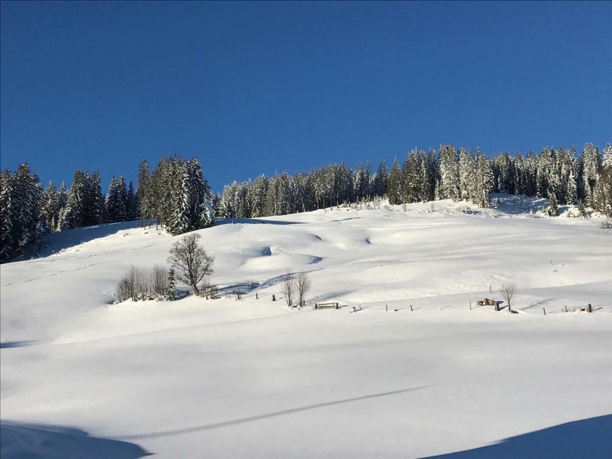Bergpension Zinting Brixen im Thale Exterior photo